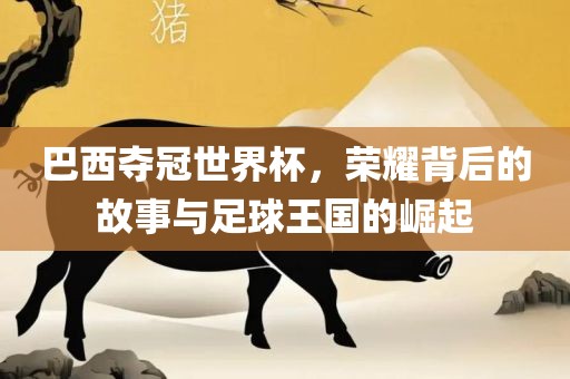 巴西夺冠世界杯，荣耀背后的故事与足球王国的崛起