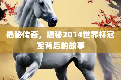 揭秘传奇，揭秘2014世界杯冠军背后的故事