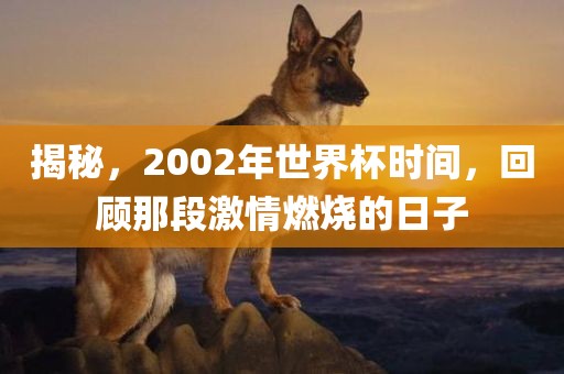 揭秘，2002年世界杯时间，回顾那段激情燃烧的日子