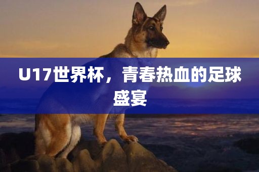 U17世界杯，青春热血的足球盛宴