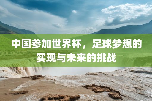 中国参加世界杯，足球梦想的实现与未来的挑战