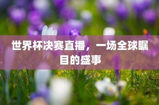 世界杯决赛直播，一场全球瞩目的盛事