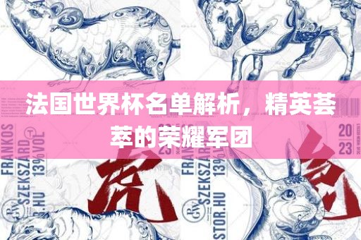 法国世界杯名单解析，精英荟萃的荣耀军团