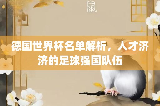 德国世界杯名单解析，人才济济的足球强国队伍