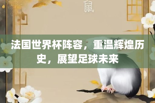 法国世界杯阵容，重温辉煌历史，展望足球未来