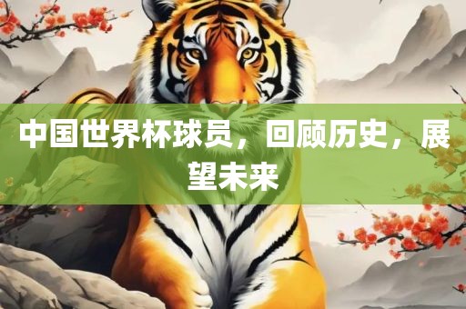 中国世界杯球员，回顾历史，展望未来