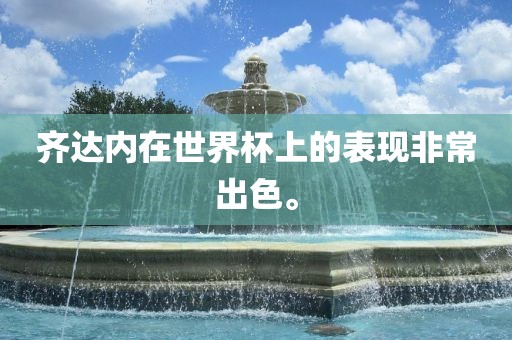 齐达内在世界杯上的表现非常出色。