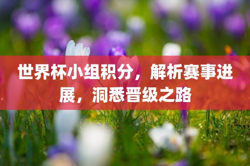 世界杯小组积分，解析赛事进展，洞悉晋级之路