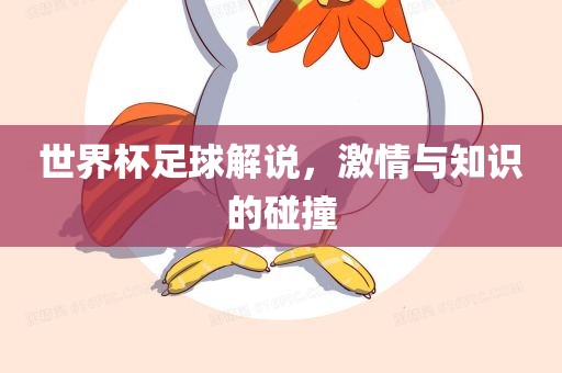 世界杯足球解说，激情与知识的碰撞