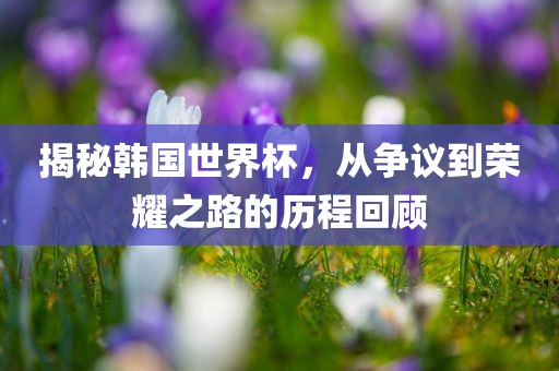 揭秘韩国世界杯，从争议到荣耀之路的历程回顾