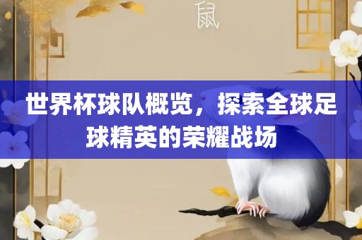 世界杯球队概览,探索全球足球精英的荣耀战场
