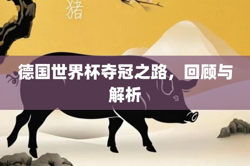 德国世界杯夺冠之路,回顾与解析