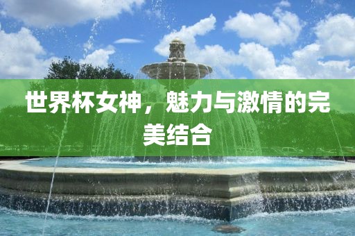 世界杯女神，魅力与激情的完美结合