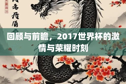 回顾与前瞻,2017世界杯的激情与荣耀时刻