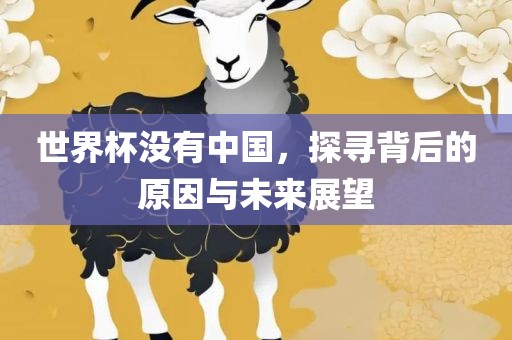 世界杯没有中国，探寻背后的原因与未来展望