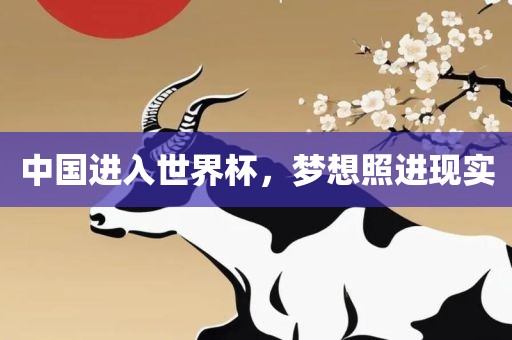 中国进入世界杯，梦想照进现实