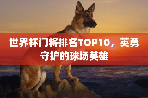 世界杯门将排名TOP10，英勇守护的球场英雄