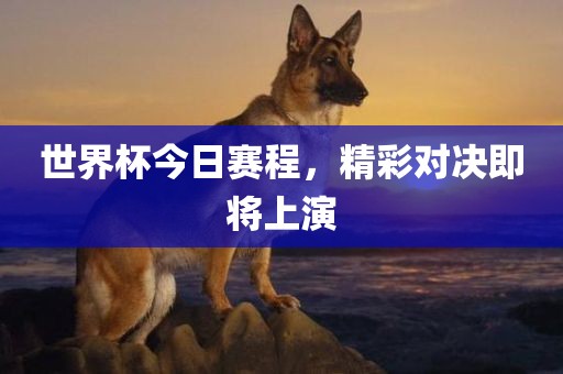世界杯今日赛程，精彩对决即将上演
