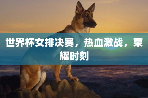 世界杯女排决赛，热血激战，荣耀时刻