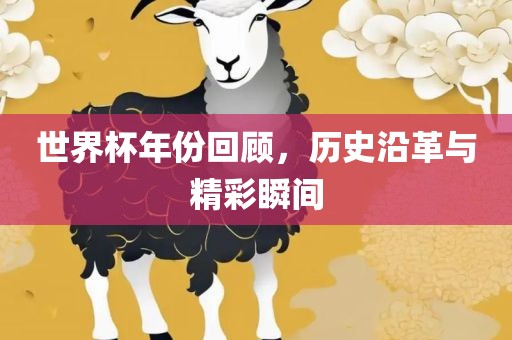 世界杯年份回顾,历史沿革与精彩瞬间