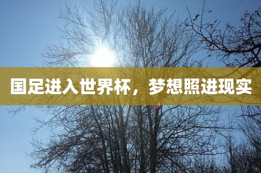 国足进入世界杯，梦想照进现实