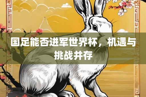 国足能否进军世界杯，机遇与挑战并存