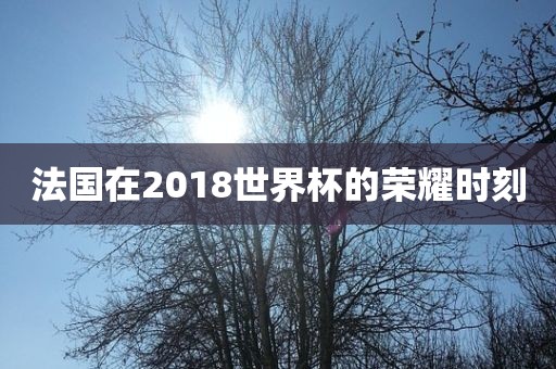 法国在2018世界杯的荣耀时刻