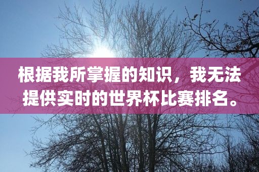 根据我所掌握的知识，我无法提供实时的世界杯比赛排名。