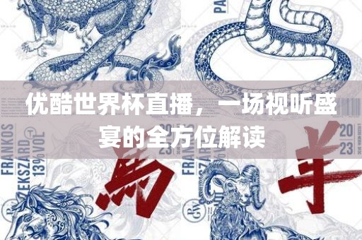 优酷世界杯直播，一场视听盛宴的全方位解读