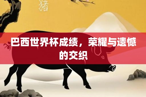 巴西世界杯成绩，荣耀与遗憾的交织