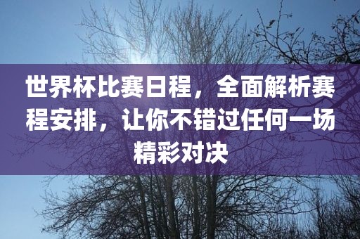 世界杯比赛日程，全面解析赛程安排，让你不错过任何一场精彩对决