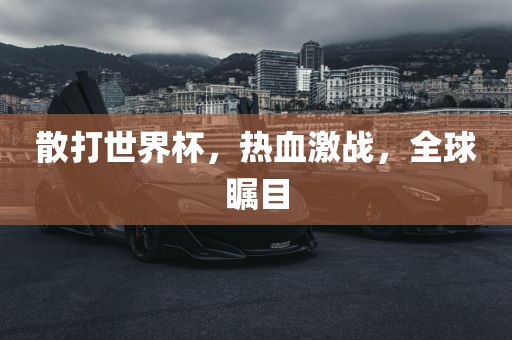 散打世界杯,热血激战,全球瞩目