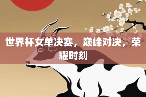 世界杯女单决赛，巅峰对决，荣耀时刻