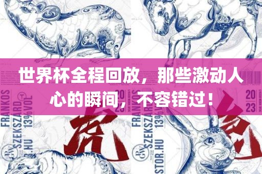 世界杯全程回放，那些激动人心的瞬间，不容错过！