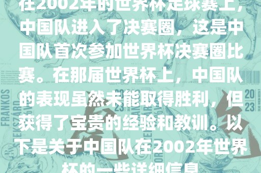 在2002年的世界杯足球赛上，中国队进入了决赛圈，这是中国队首次参加世界杯决赛圈比赛。在那届世界杯上，中国队的表现虽然未能取得胜利，但获得了宝贵的经验和教训。以下是关于中国队在2002年世界杯的一些详细信息
