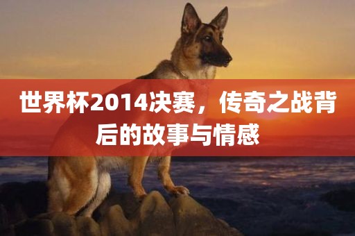 世界杯2014决赛，传奇之战背后的故事与情感