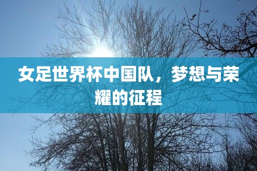 女足世界杯中国队,梦想与荣耀的征程