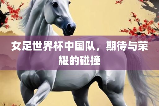 女足世界杯中国队,期待与荣耀的碰撞