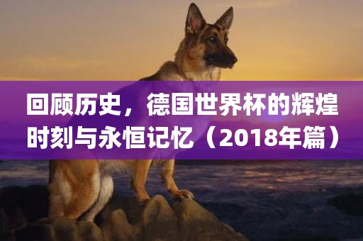 回顾历史，德国世界杯的辉煌时刻与永恒记忆（2018年篇）