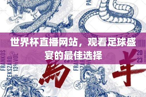世界杯直播网站，观看足球盛宴的最佳选择