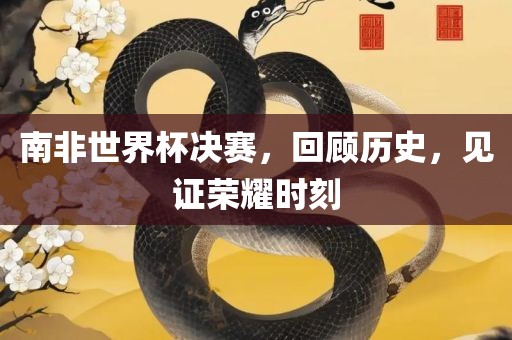 南非世界杯决赛，回顾历史，见证荣耀时刻