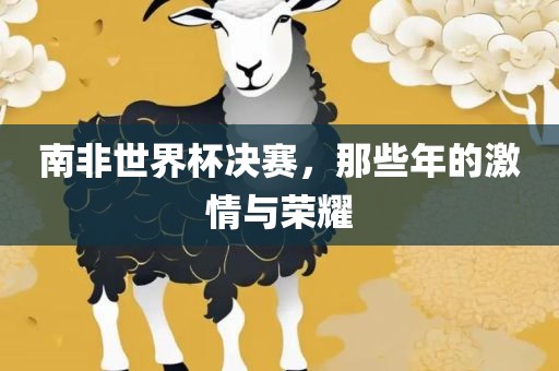 南非世界杯决赛，那些年的激情与荣耀