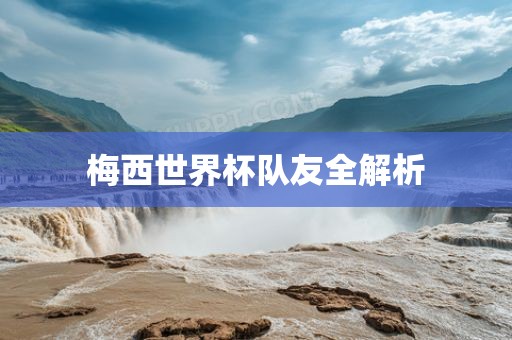 梅西世界杯队友全解析