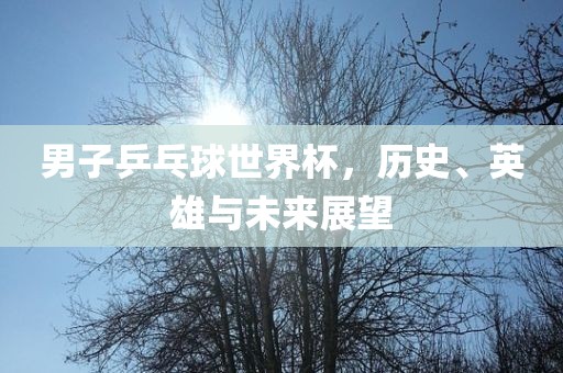 男子乒乓球世界杯，历史、英雄与未来展望