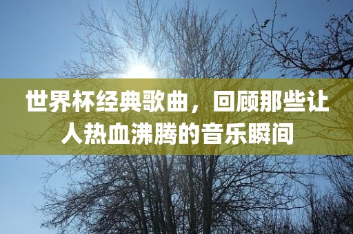 世界杯经典歌曲，回顾那些让人热血沸腾的音乐瞬间