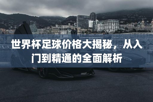 世界杯足球价格大揭秘，从入门到精通的全面解析