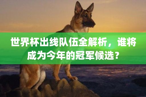 世界杯出线队伍全解析，谁将成为今年的冠军候选？