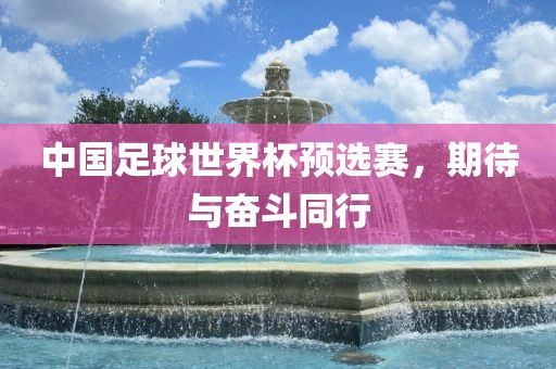 中国足球世界杯预选赛，期待与奋斗同行