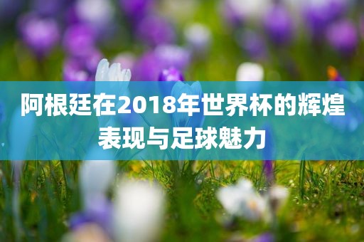 阿根廷在2018年世界杯的辉煌表现与足球魅力