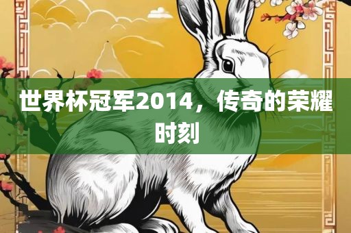 世界杯冠军2014,传奇的荣耀时刻